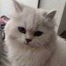 hello_imKate